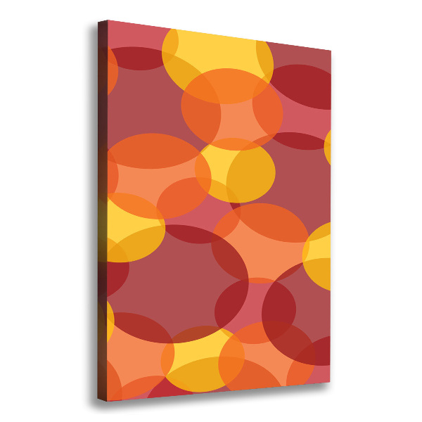 Verticaal schilderij op canvas Kleurrijke cirkels