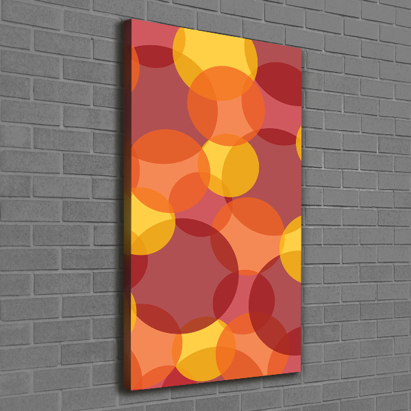 Verticaal schilderij op canvas Kleurrijke cirkels