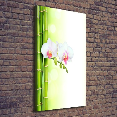 Verticale foto op canvas Orchidee en bamboe