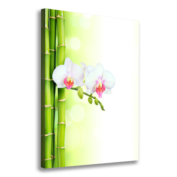 Verticale foto op canvas Orchidee en bamboe