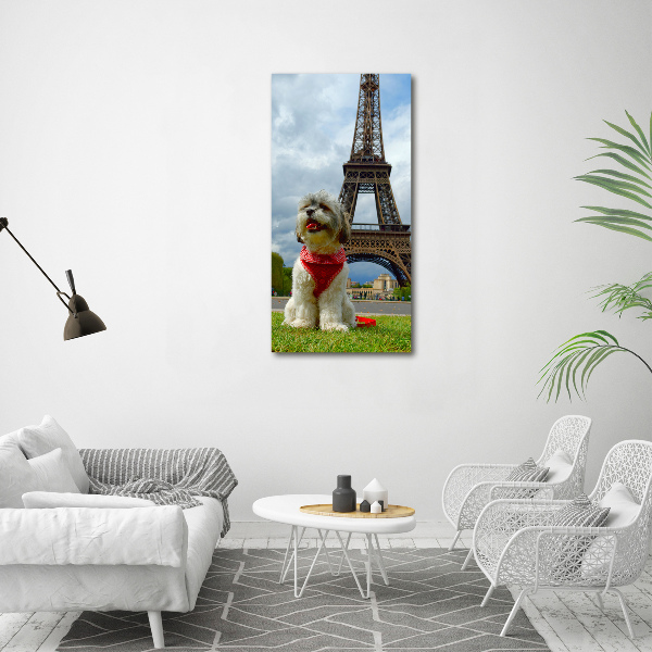 Verticaal canvasschilderij Een hond in Parijs