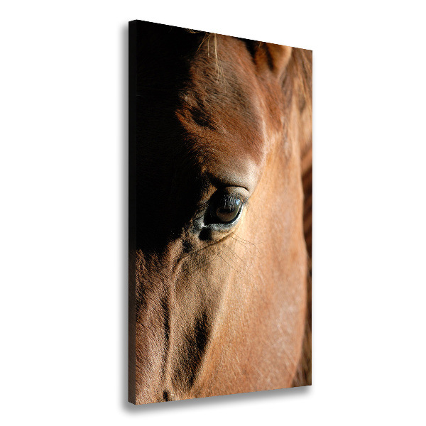 Verticaal schilderij op canvas Paard