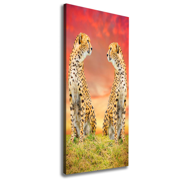 Verticale foto op canvas Twee cheetahs