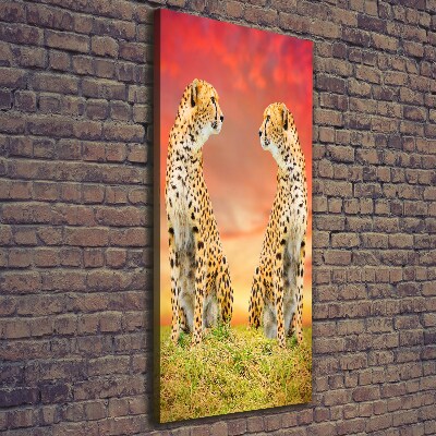 Verticale foto op canvas Twee cheetahs