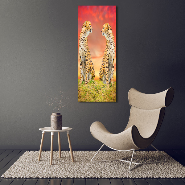 Verticale foto op canvas Twee cheetahs