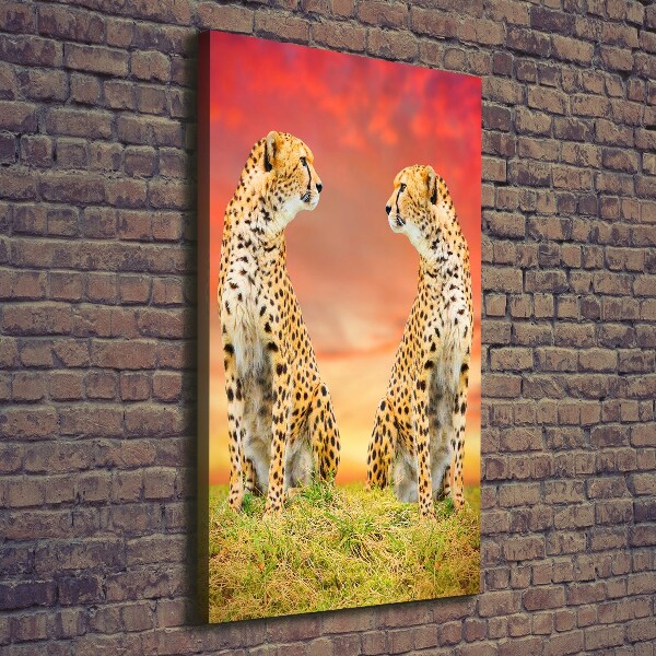 Verticale foto op canvas Twee cheetahs
