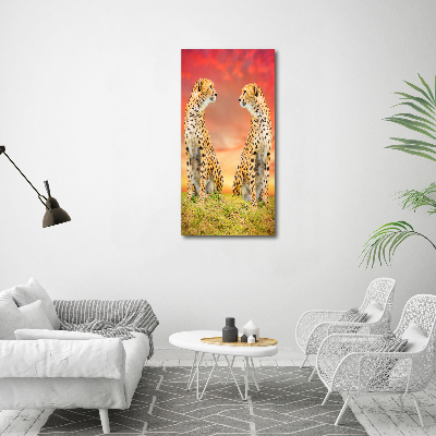 Verticale foto op canvas Twee cheetahs