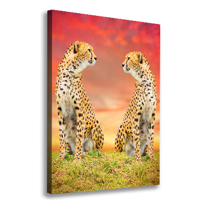 Verticale foto op canvas Twee cheetahs