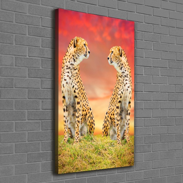 Verticale foto op canvas Twee cheetahs