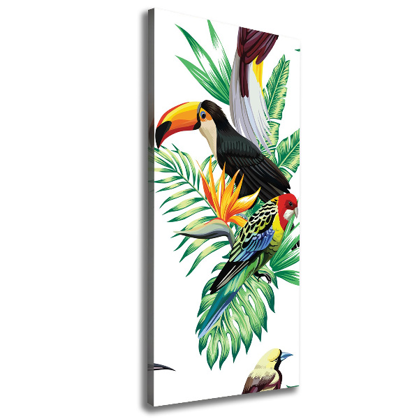 Verticale foto op canvas Tropische vogels