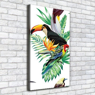 Verticale foto op canvas Tropische vogels