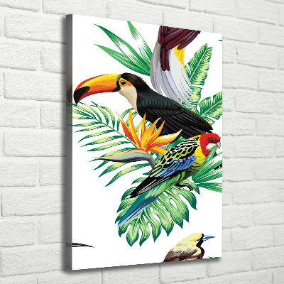 Verticale foto op canvas Tropische vogels