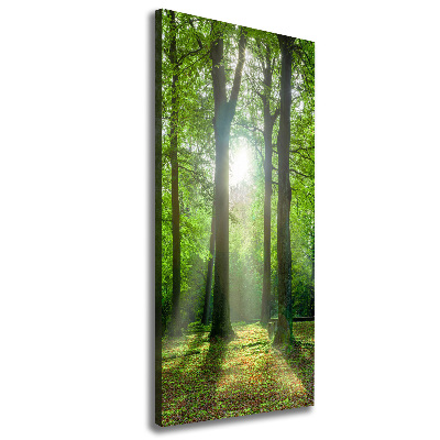 Verticaal schilderij op canvas De zon in het bos