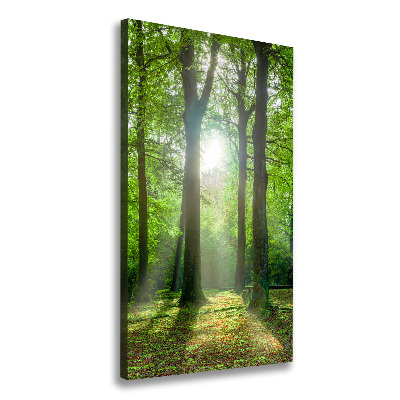 Verticaal schilderij op canvas De zon in het bos