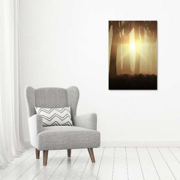 Verticaal canvasschilderij Mist in het bos