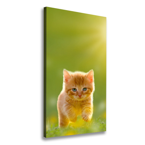 Verticale foto op canvas Gemberkat