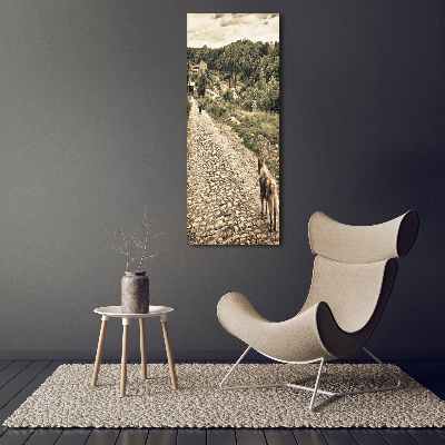 Verticale canvasfoto Twee honden van de heuvel