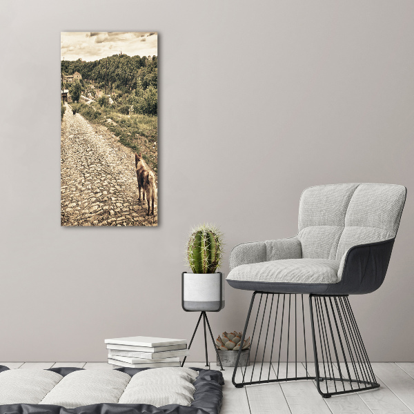 Verticale canvasfoto Twee honden van de heuvel