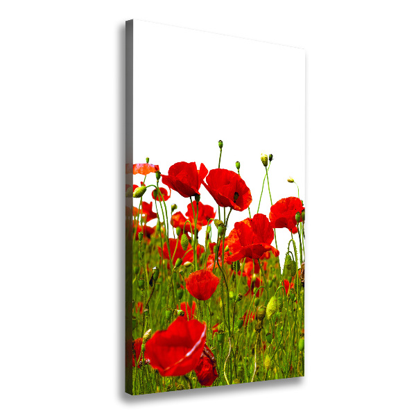 Verticale canvasfoto Klaprozenveld