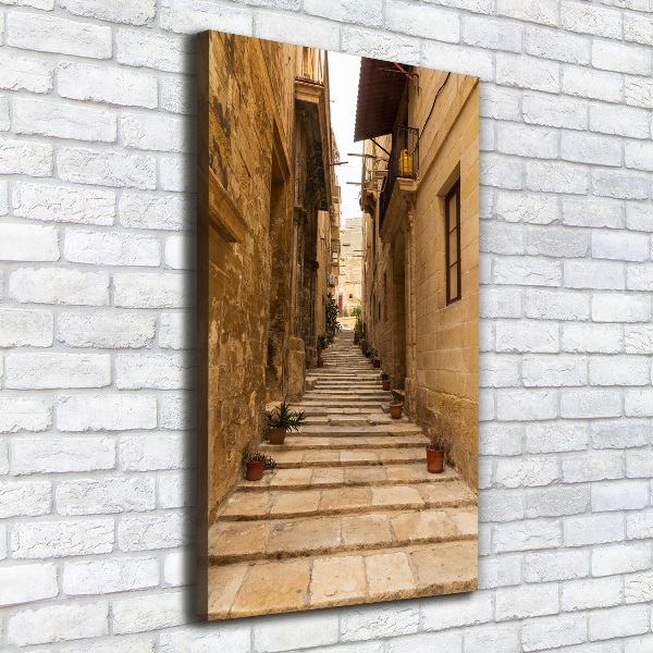 Verticale foto op canvas Straten in Malta
