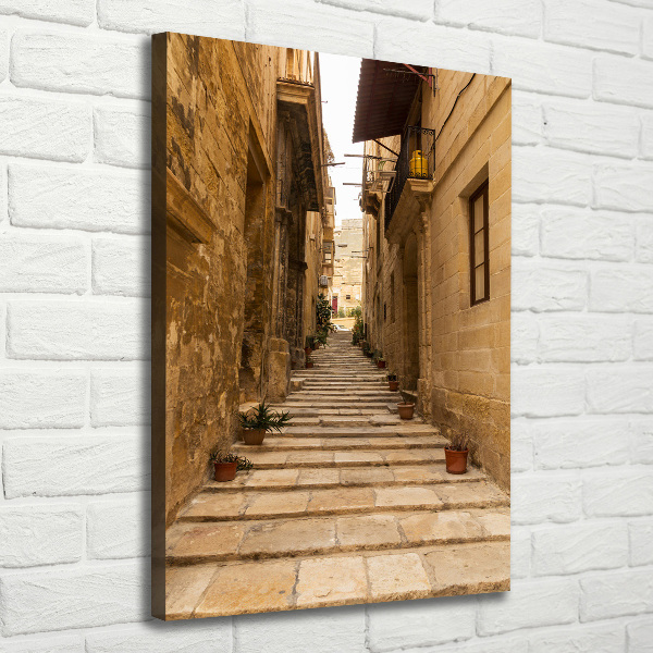 Verticale foto op canvas Straten in Malta