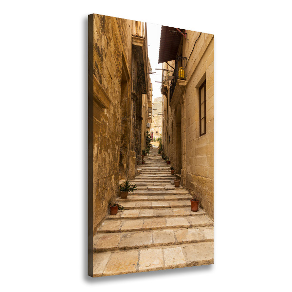 Verticale foto op canvas Straten in Malta