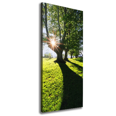 Verticaal canvasschilderij Park