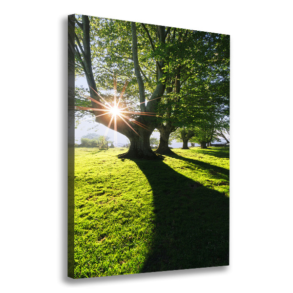 Verticaal canvasschilderij Park