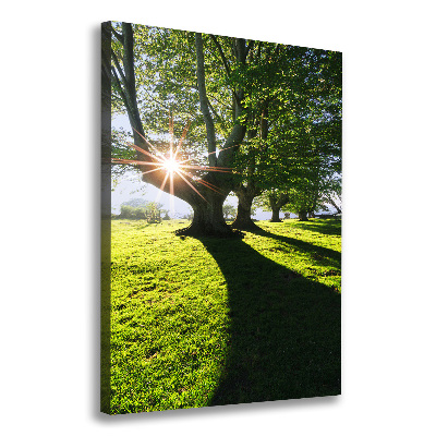 Verticaal canvasschilderij Park