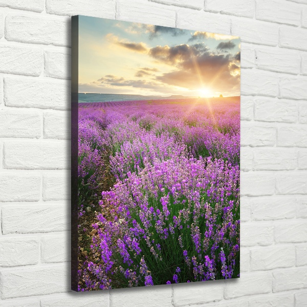 Verticaal canvasschilderij Lavendelveld