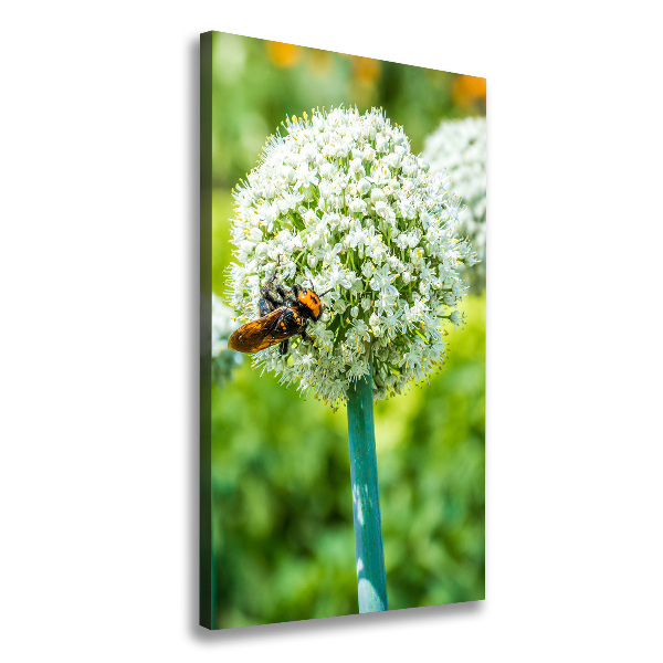 Verticale canvasfoto Knoflookbloemen