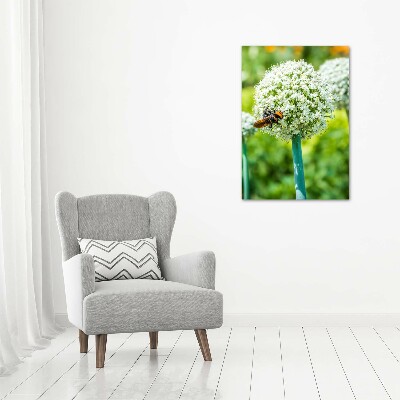 Verticale canvasfoto Knoflookbloemen