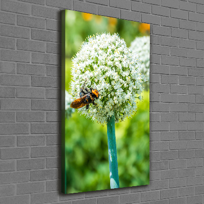 Verticale canvasfoto Knoflookbloemen