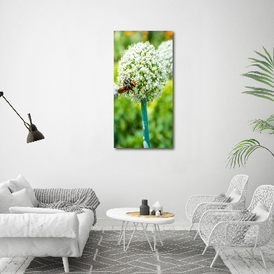 Verticale canvasfoto Knoflookbloemen