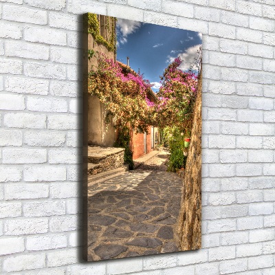 Verticale foto op canvas Franse straten