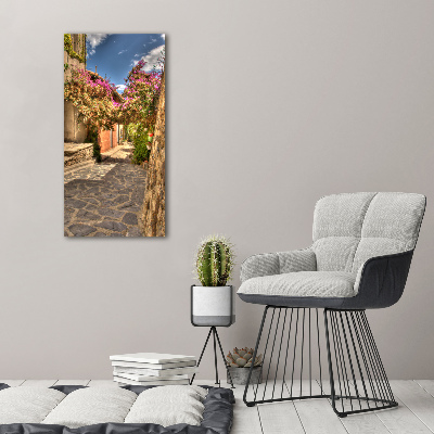 Verticale foto op canvas Franse straten
