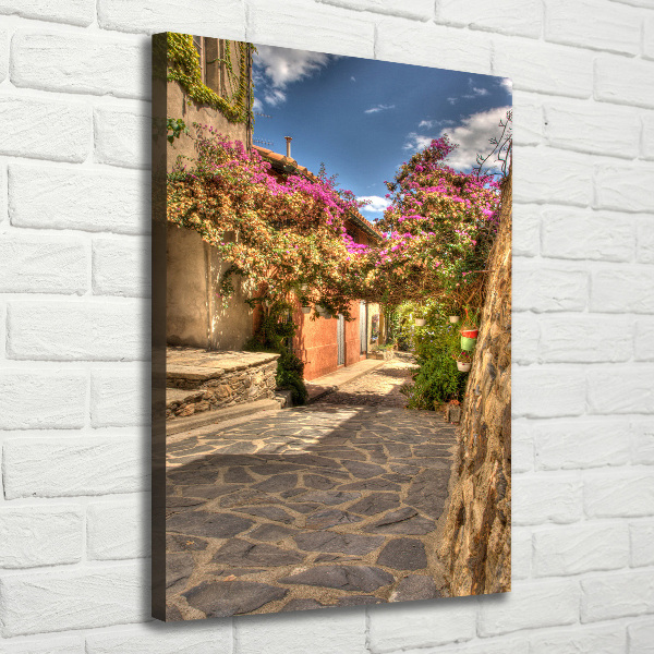 Verticale foto op canvas Franse straten