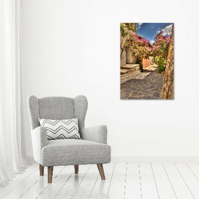 Verticale foto op canvas Franse straten