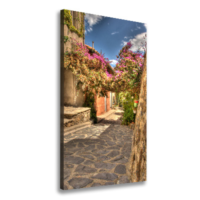 Verticale foto op canvas Franse straten