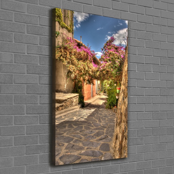Verticale foto op canvas Franse straten
