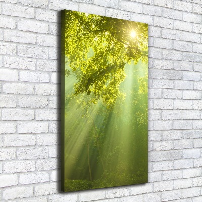 Verticale foto op canvas De zon in het bos