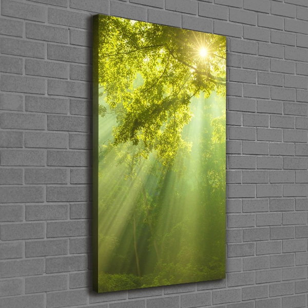Verticale foto op canvas De zon in het bos
