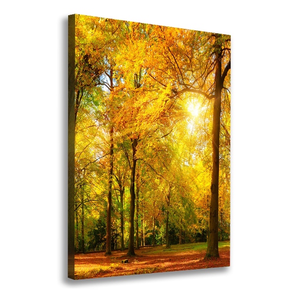 Verticale foto op canvas Bos in de herfst