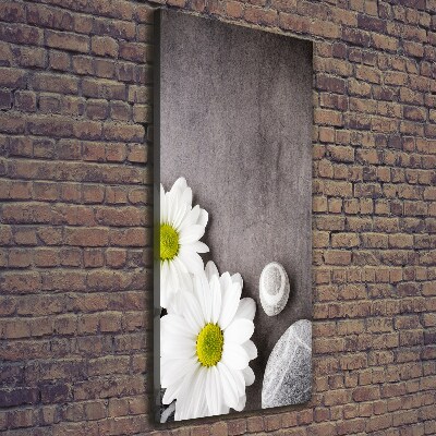 Verticale foto op canvas Gerbera