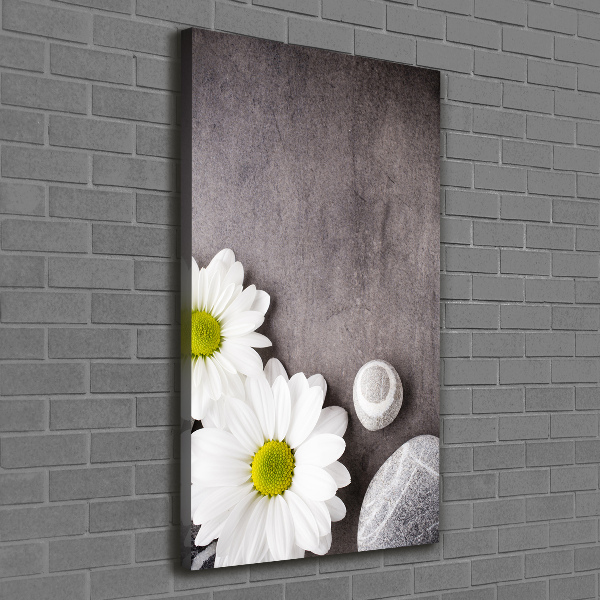 Verticale foto op canvas Gerbera
