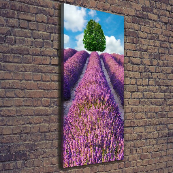 Verticale foto op canvas Lavendelveld