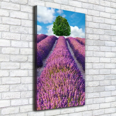 Verticale foto op canvas Lavendelveld