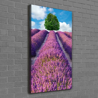 Verticale foto op canvas Lavendelveld