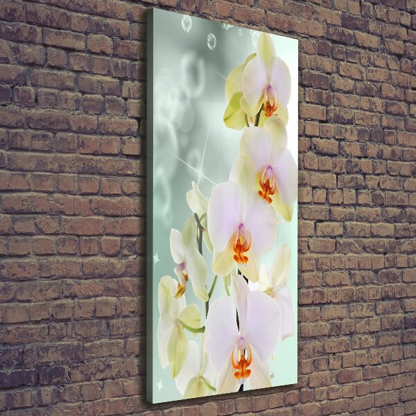 Verticaal canvasschilderij Orchidee