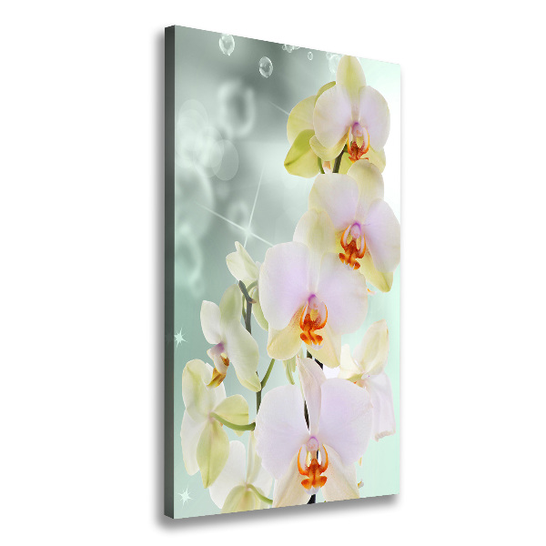 Verticaal canvasschilderij Orchidee